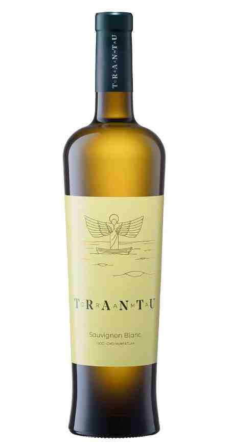 Vin alb - Crama Trantu, Sauvignon Blanc, 2017, sec | Crama Trantu