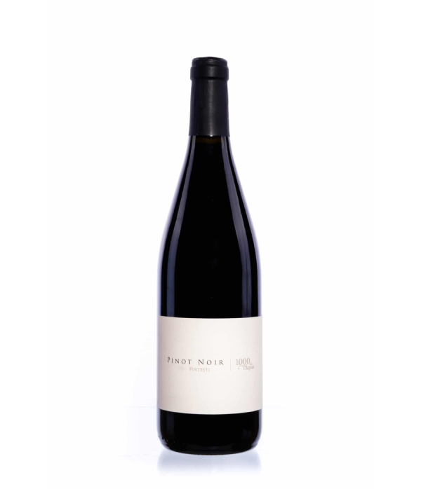 Vin rosu - 1000 de Chipuri - Pinot Noir, sec, 2020 | 1000 de chipuri